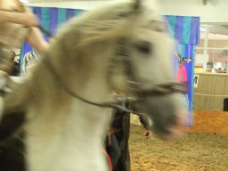 IMG_5169_web